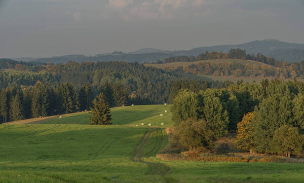 Metternichova cesta